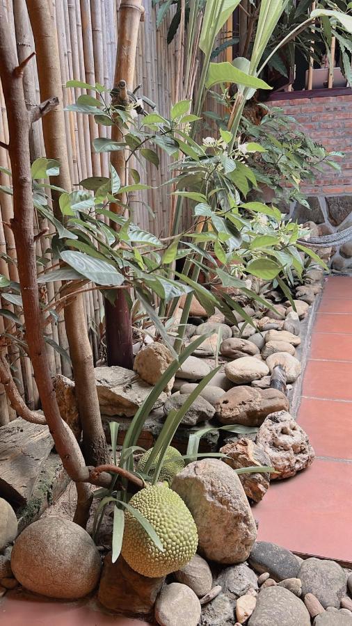 Homestay Da Nang Full House Экстерьер фото